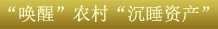 ؼ3“”ũ“˯ʲ”