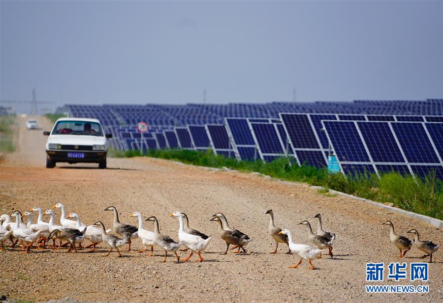 (bbin宝盈全媒头条·在习近平新时代中国特色社会主义思想指引下——新时代新作为新篇章·图文互动)(7)绿富同兴画卷在沙海中铺展——库布其沙漠生态治理纪实