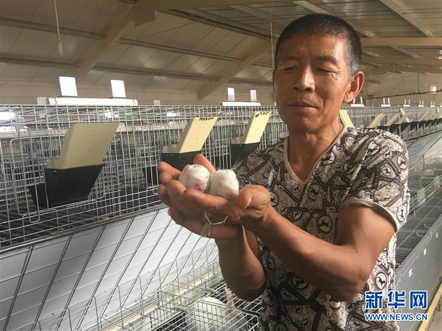 (bbin宝盈全媒头条·在习近平新时代中国特色社会主义思想指引下——新时代新作为新篇章·图文互动)(10)绿富同兴画卷在沙海中铺展——库布其沙漠生态治理纪实