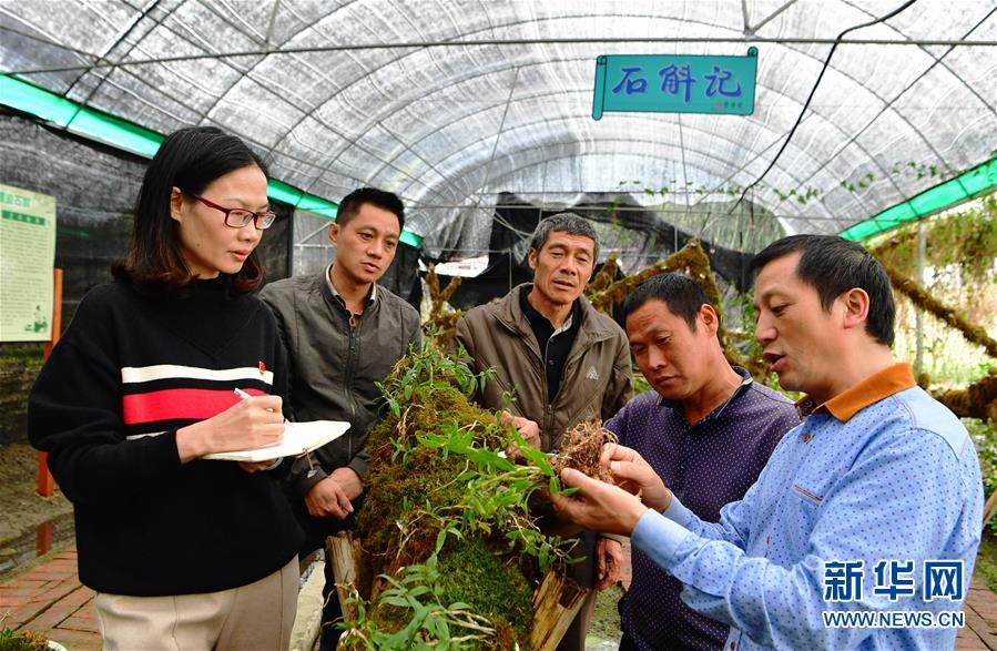 (bbin宝盈全媒头条·图文互动)(3)全面从严治党启新局——写在十九届中央纪委三次全会召开之际