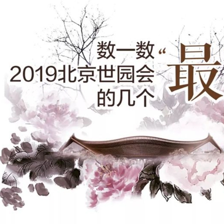 ߣ԰ȥһ2019԰ļ“”