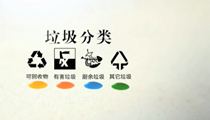 51ʩ