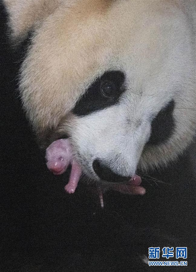 ʣ3úè˳´
