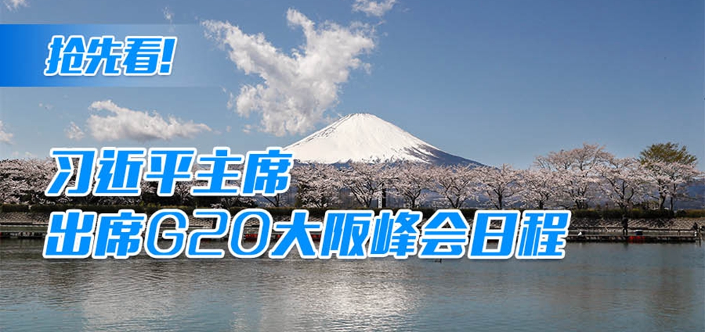 ȿϰƽϯϯG20ճ