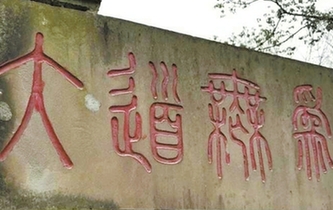 ɽʯ̱"ҩ" ʵ"Ϊ"